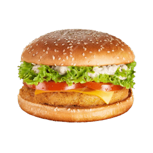 Sollow Burger